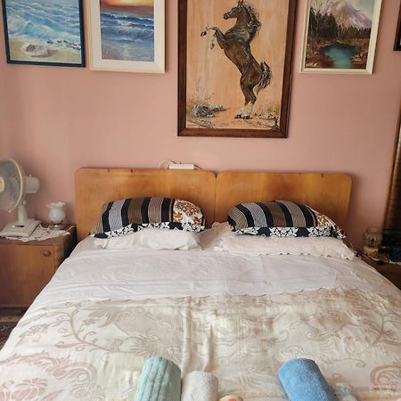 Apartment Madona 希贝尼克 外观 照片