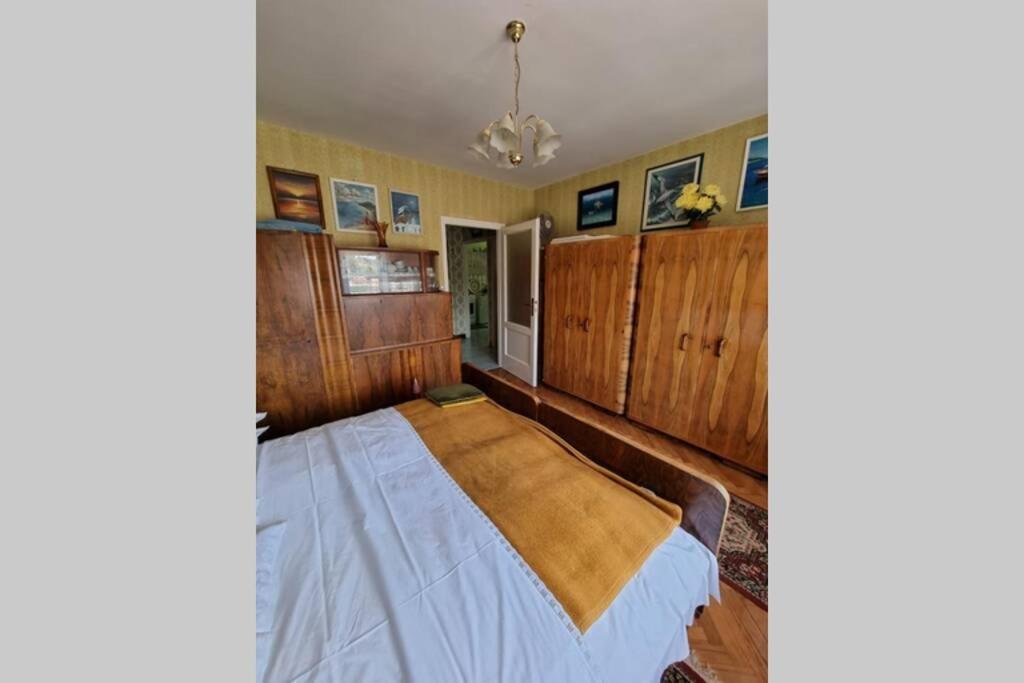 Apartment Madona 希贝尼克 外观 照片